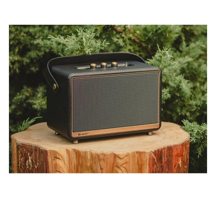 TWS BLUETOOTH ČERNÝ model 21861676