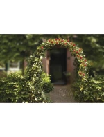 NA model 21832016 - Kinzo