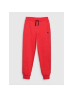 Tepláky Jr model 21466970 - 4F Tepláky Jr model 21466970 - 4F