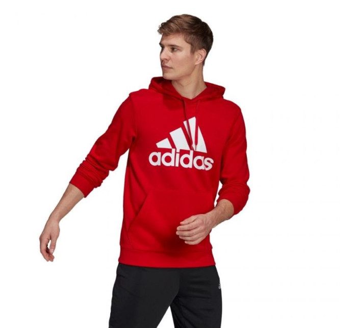 Pánske oblečenie Essentials Big Logo M GV0249 - Adidas