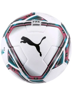 Puma teamFINAL 21.3 Fifa Quality Ball 083306 01