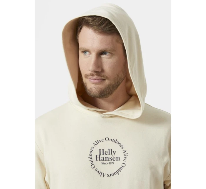 Helly Hansen Core Graphic Sweat Hoodie M 53924 034 Helly Hansen Core Graphic Sweat Hoodie M 53924 034