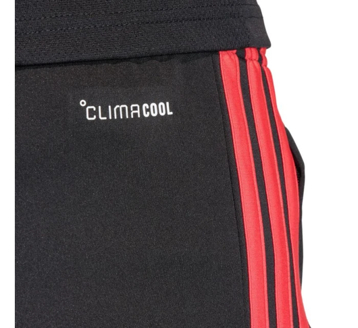 Pánske tréningové šortky adidas Tiro 26 League black and red JY9716