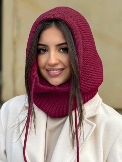 model 21730738 - AJS