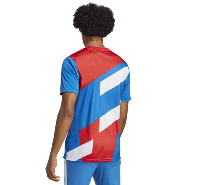FC Bayern JSY M Tričko model 18492318 - ADIDAS