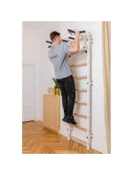 GYMNASTICKÝ REBRÍK S NASTAVITEĽNOU KOVOVOU TYČOU 731W BENCHK