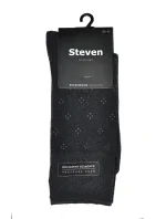 Pánské ponožky model 5790387 - Steven