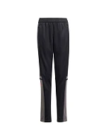 Nohavice adidas Squadra 25 Training Jr JD1628