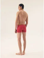 Pánské boxerky 2 pack model 20947059 Star - Henderson