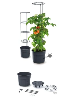 Rajčiak s rebríkom 28L kapacita detské