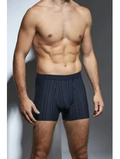 BOXERKY RÔZNE MINI 233 JAR 2024