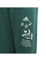 Adidas BLUV Q3 Pant Jr IA1553