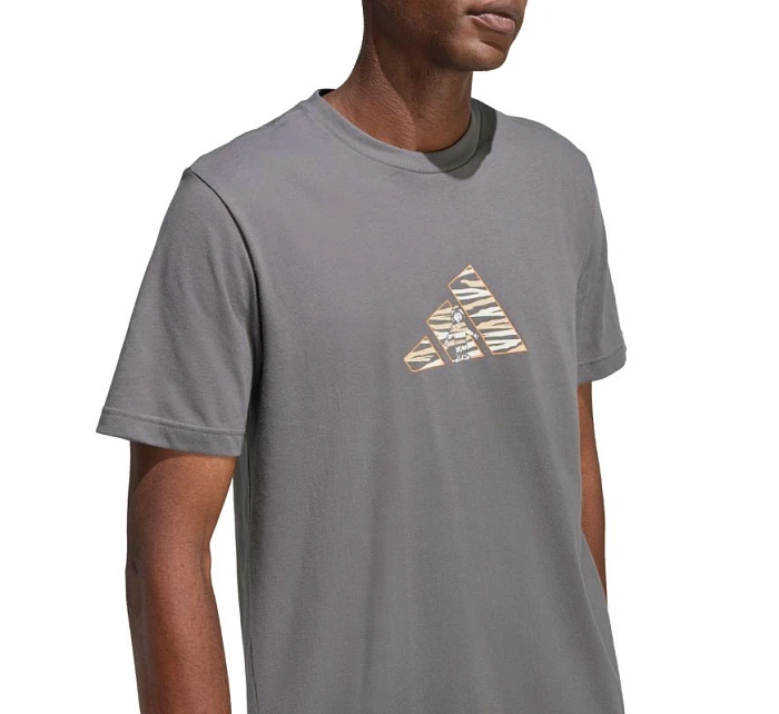 Pánske tričko adidas Camo Expolorer Graphic grey JZ7501 pánske