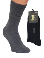 Ponožky model 17743332 - Regina Socks