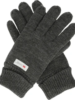 Pánske rukavice Whistler Roumat