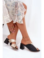 Kožené Dámské Klapky Na Podpatku model 21697462 - Maciejka