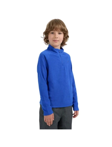 Chlapčenská fleecová mikina 4F M058 cobalt 4FJWAW25UFLEM058 36S