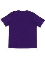 Tričko Champion SS Tee M 220264 VS025 pánske Tričko Champion SS Tee M 220264 VS025 pánske