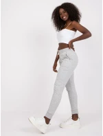 Tepláky TW DR 1033.16P sivá Tepláky TW DR 1033.16P sivá