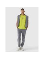 Pánske tričko s potlačou 4F 4FRAW24TTSHM2299-45S pánske Pánske tričko s potlačou 4F 4FRAW24TTSHM2299-45S pánske