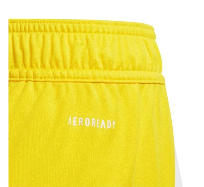Šortky adidas Tiro 24 Jr IT2410