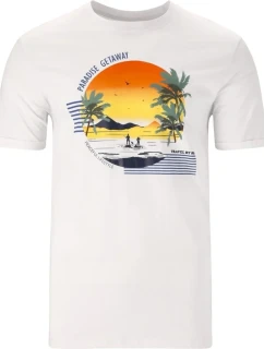 Pánské tričko model 21131844 M - Cruz