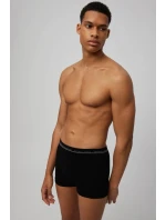 PÁNSKE BOXERKY 20153