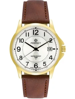Pánské hodinky model 21806561 - PERFECT