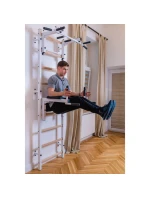 GYMNASTICKÝ REBRÍK S NASTAVITEĽNOU TYČOU A ZÁBRADLÍM BENCHK 732W