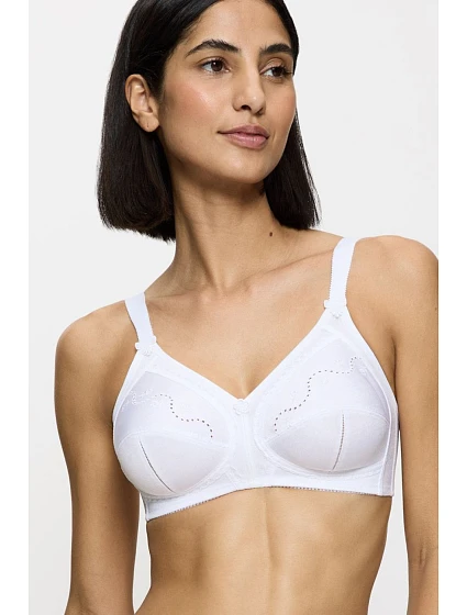 Soft model 229353 Triumph Soft model 229353 Triumph