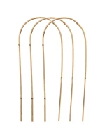 DO model 21832041 - PROGARDEN