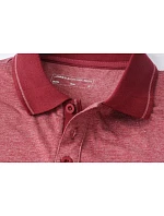 JN Pánské žerzejové polo 02.0 grey model 22488411 - Daiber