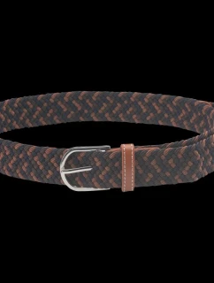 model 21352678 - Iguana