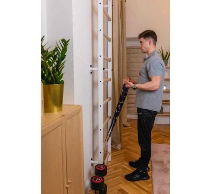 DREVENO-KOVOVÝ GYMNASTICKÝ REBRÍK BENCHK 700W