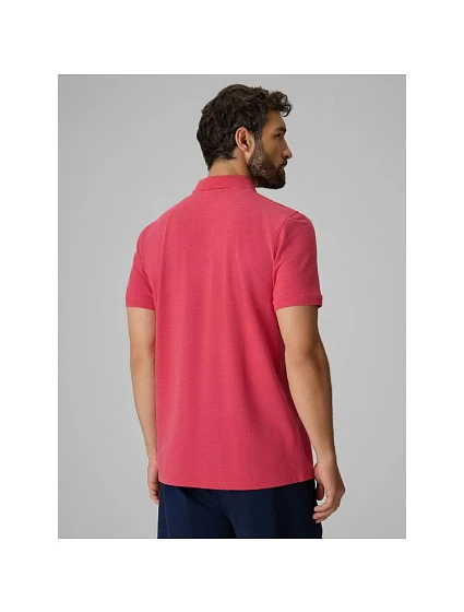 Pánské polo tričko s střihem model 22335016 - 4F