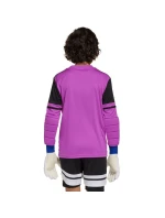 Adidas Squadra 25 Juniorské brankárske tričko s dlhým rukávom JJ1939 Adidas Squadra 25 Juniorské brankárske tričko s dlhým rukávom JJ1939