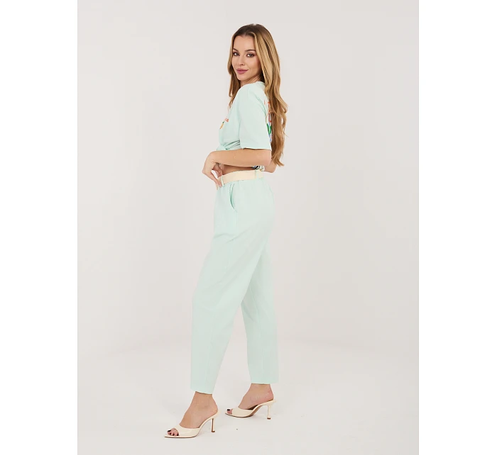 Nohavice IT SP 26020.54 mint