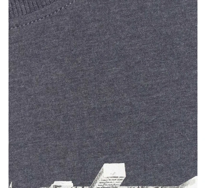 Tričko M model 21401757 24M pánské - 4F Tričko M model 21401757 24M pánské - 4F