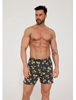 Pánské trenýrky model 22110503 - Cornette