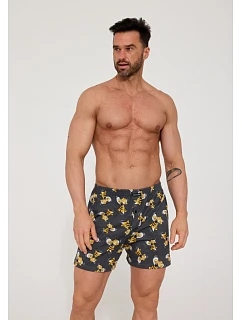 Pánské trenýrky model 22110503 - Cornette