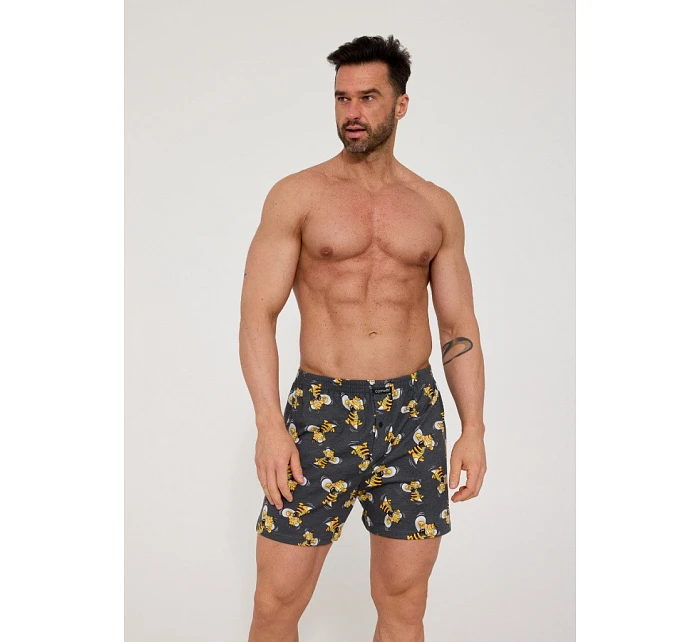 Pánské trenýrky model 22110503 - Cornette