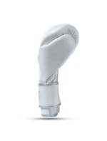 Boxerské rukavice z přírodní kůže s výplní  Legacy Series | DBX model 21754423 - DBX Bushido