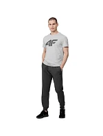 Tričko M H4Z22 model 17729891 27M pánské - 4F Tričko M H4Z22 model 17729891 27M pánské - 4F