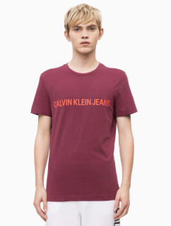 Pánské tričko model 6475918 vínová - Calvin Klein