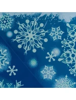 Nálepka na okno 30x42 CM