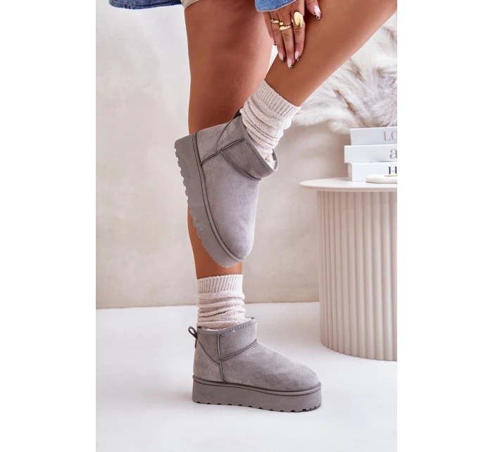 Dámské Sněhule Na Platformě Zateplené Kožíškem Šedé model 21672076 - Boto