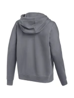 Dámská mikina s kapucí Park 26 Fleece FullZip Grey model 21950131 071 - NIKE