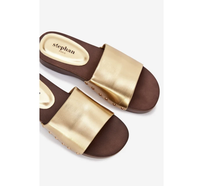 Dámské žabky se zlatými sponkami Terissa