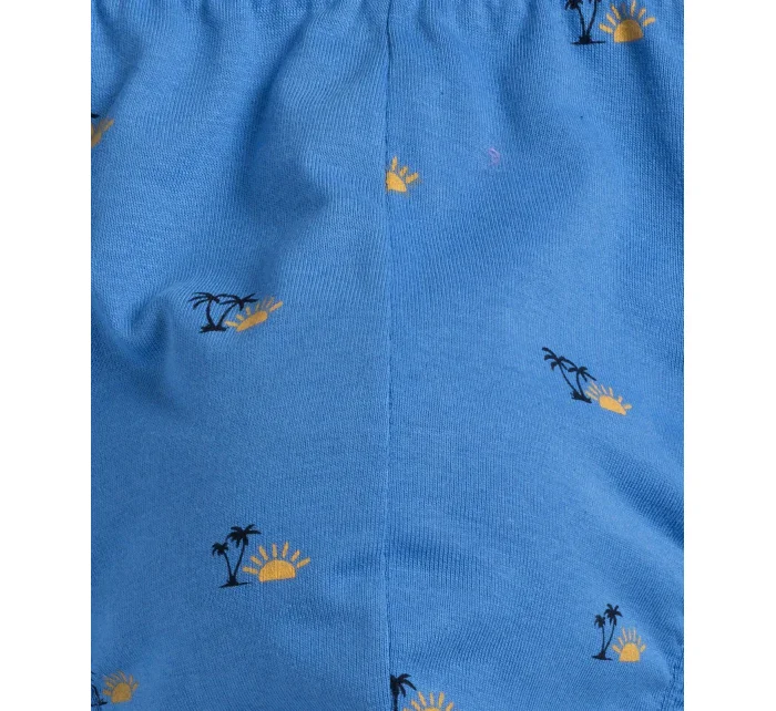 Pánské slipy model 19649107 A'2 M2XL - Atlantic