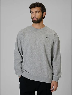 Pánská mikina z regular střih, bez  model 22390599 - 4F
